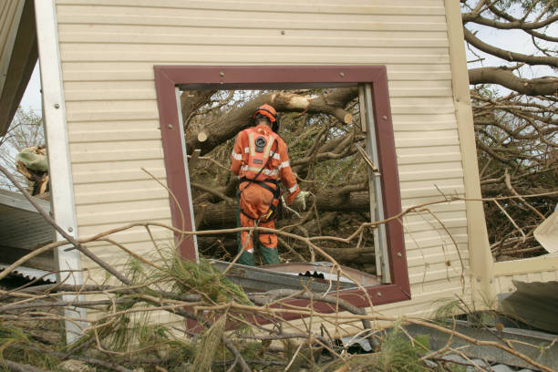 How Our Tree Care Process Works  in  Hawaiian Gardens, CA